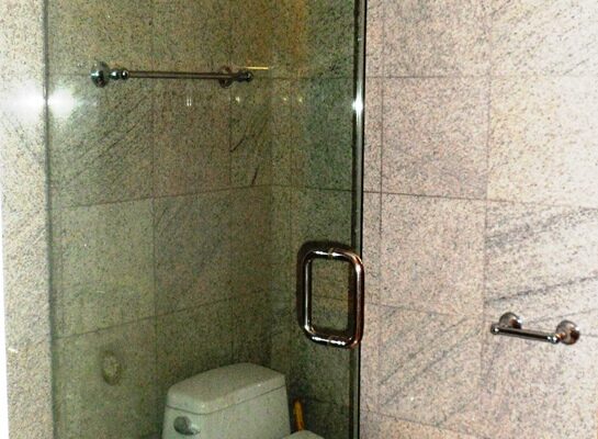 $ 505 N Lake Shore Drive 2nd bathroom with shower 13